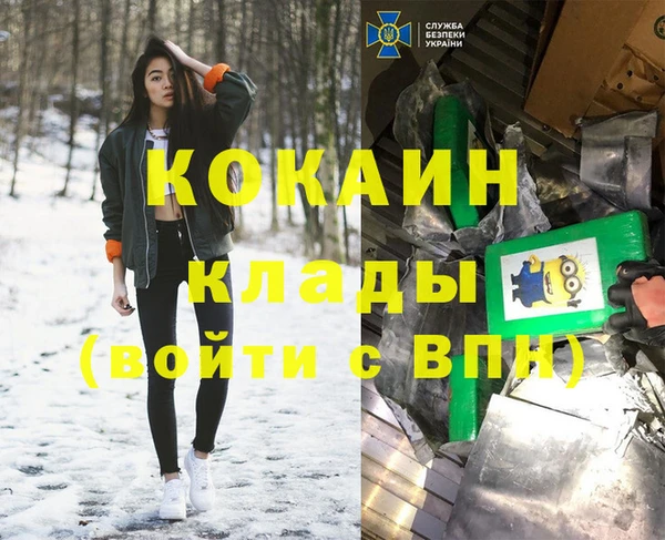 дживик Кулебаки