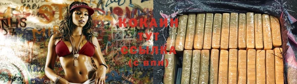 Альфа ПВП Лабытнанги