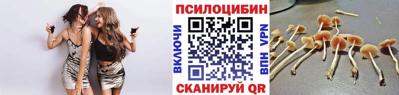 Купить  Елизаветинская  Галлюциногенные грибы Psilocybe 