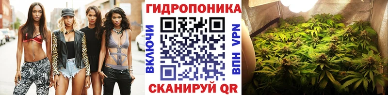 Каннабис MAZAR  Купить где  Елизаветинская 